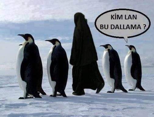 Karikatur025767