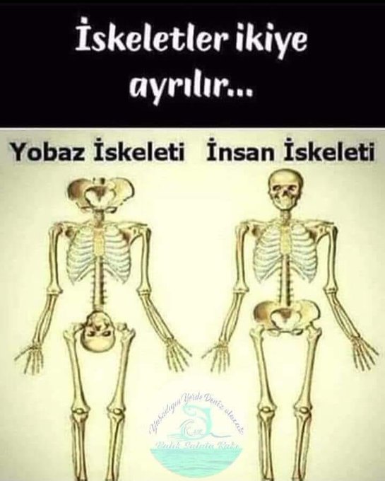 Karikatur025788