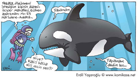 Karikatur025962