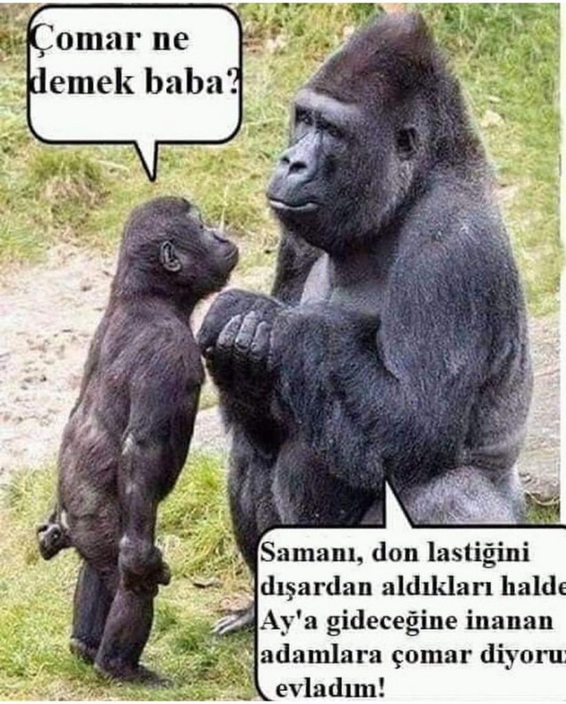 Karikatur025981