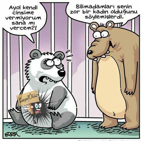 Karikatur025988
