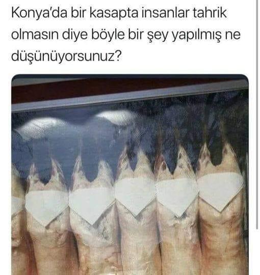 Karikatur026110