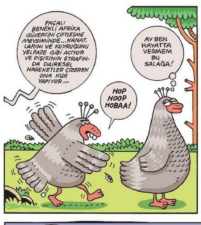 Karikatur026342
