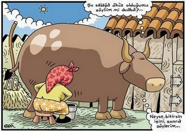Karikatur026378