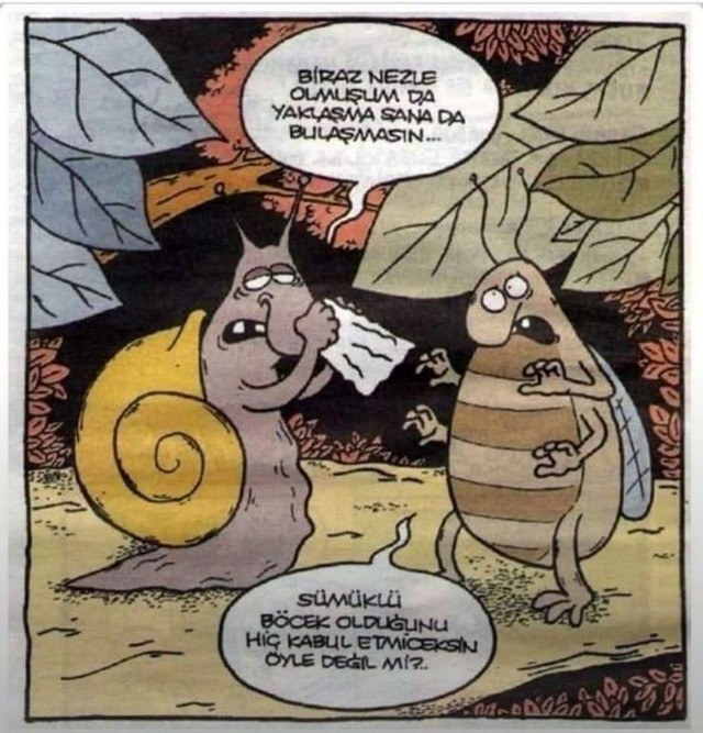 Karikatur026456