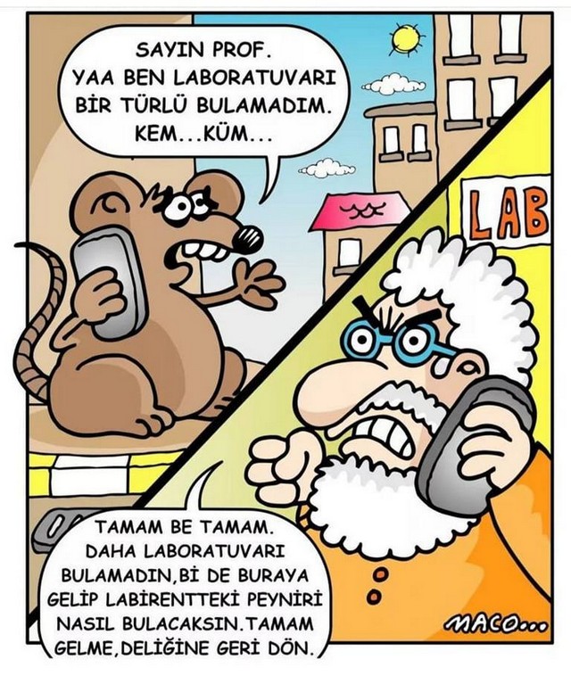 Karikatur026610