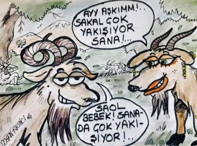 Karikatur026648