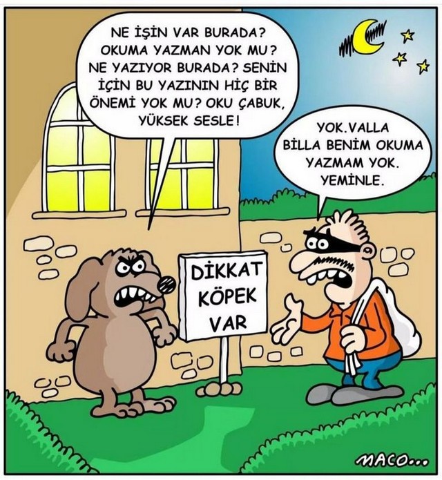 Karikatur026744