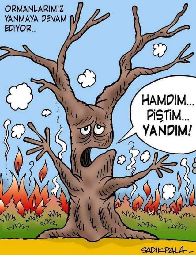 Karikatur026776