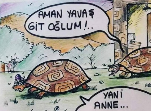 Karikatur026819