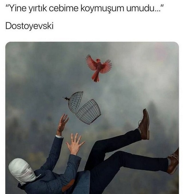 Karikatur026971