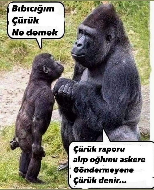 Karikatur026972