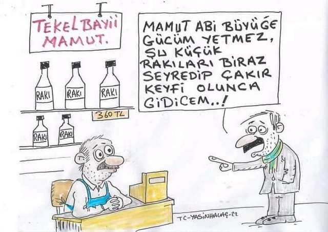 Karikatur027012
