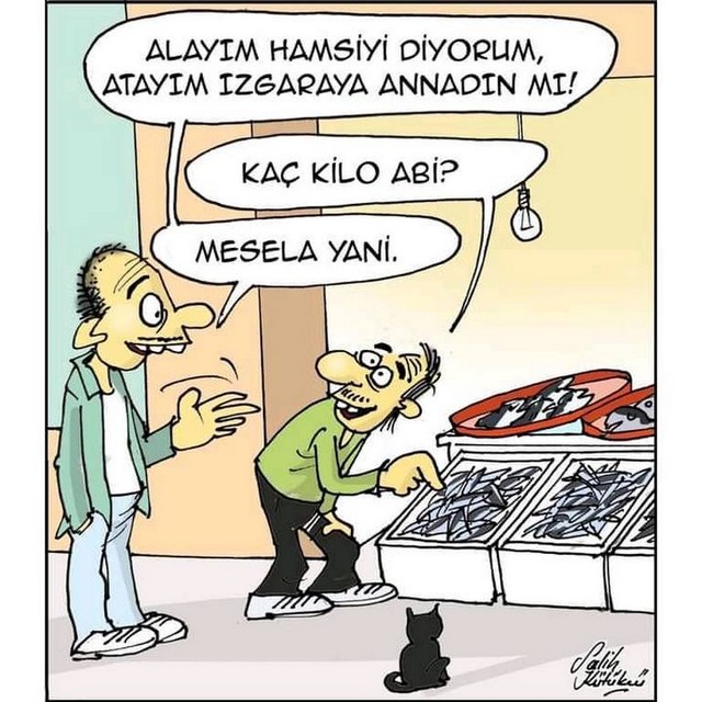 Karikatur027110