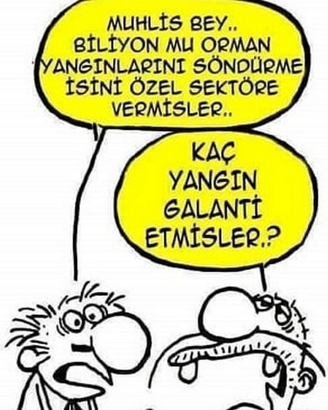 Karikatur027116