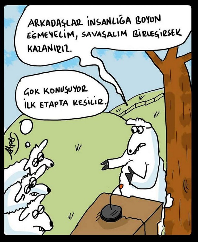 Karikatur027242