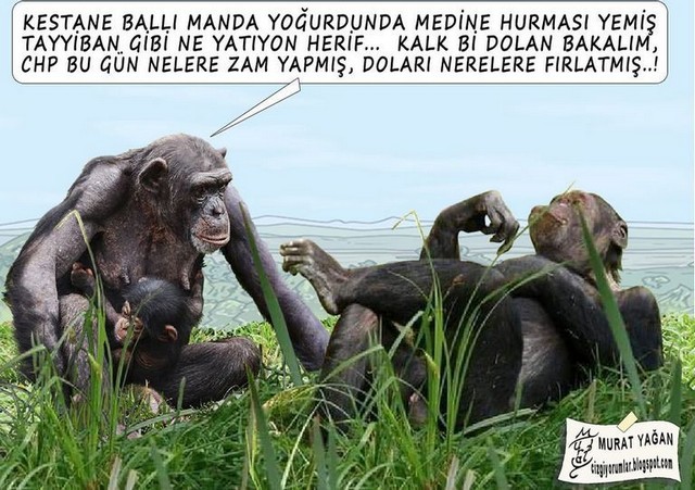 Karikatur027334