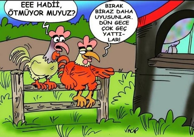 Karikatur027567