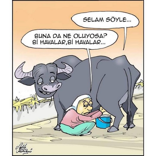 Karikatur027622