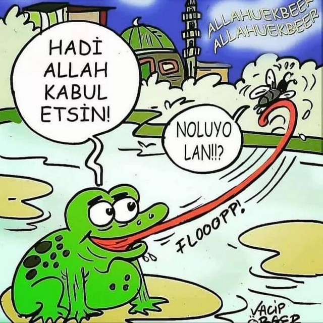 Karikatur027629