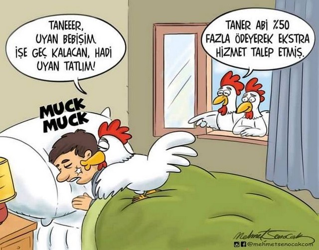 Karikatur027650