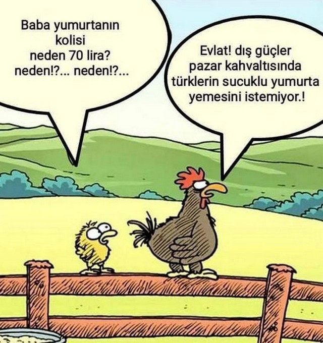 Karikatur027671