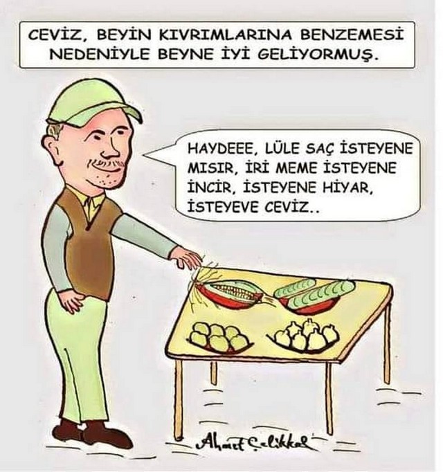 Karikatur027685