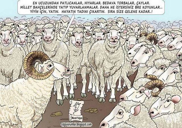 Karikatur027897