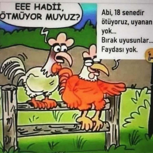 Karikatur027998