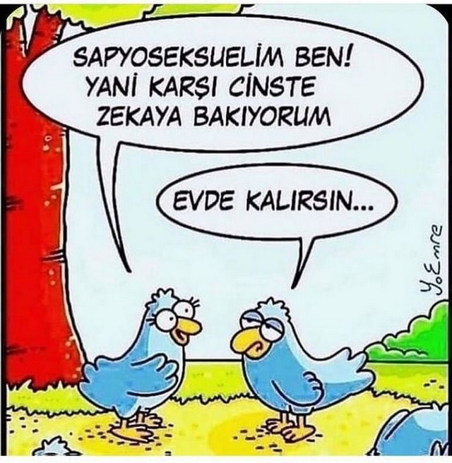 Karikatur028022