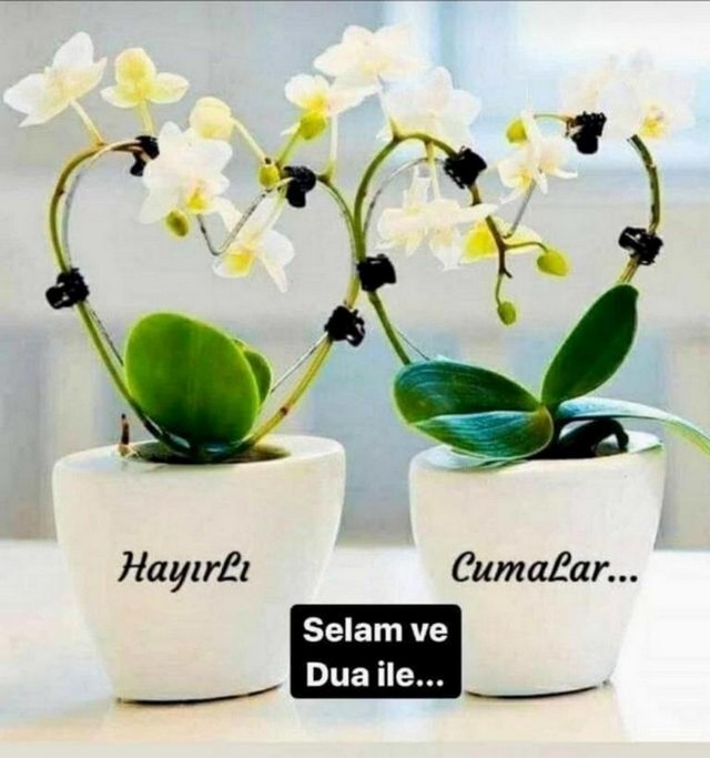 Karikatur028058