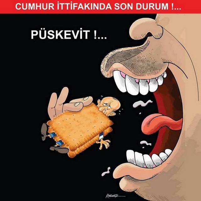 Karikatur028452
