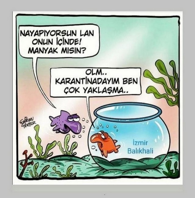 Karikatur028497