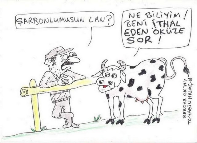 Karikatur028608