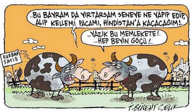 Karikatur028657
