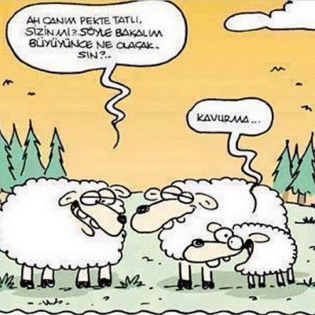 Karikatur028872
