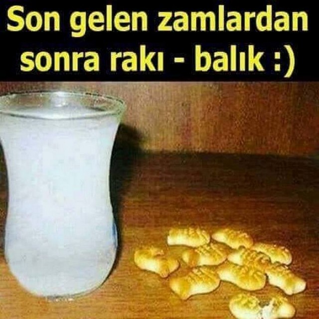 Karikatur029135