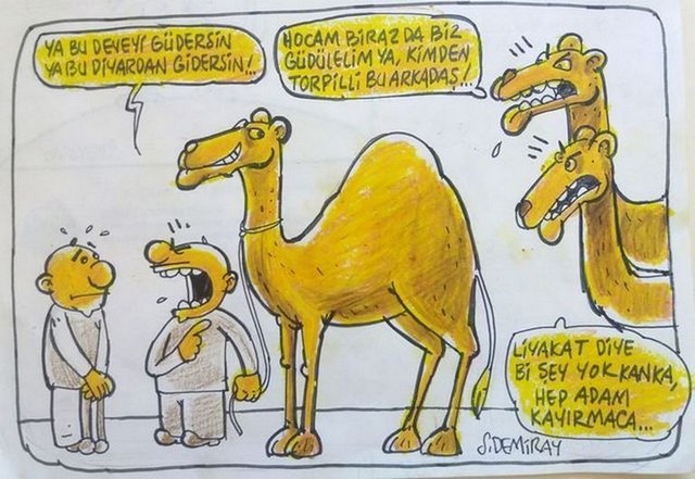 Karikatur029145