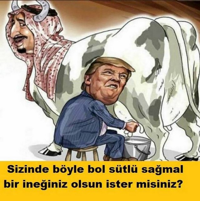 Karikatur029196