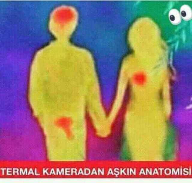 Karikatur029275