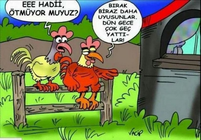 Karikatur029359
