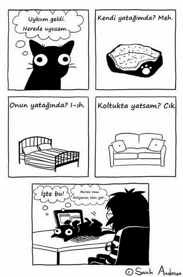 Karikatur029568