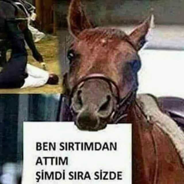Karikatur029772