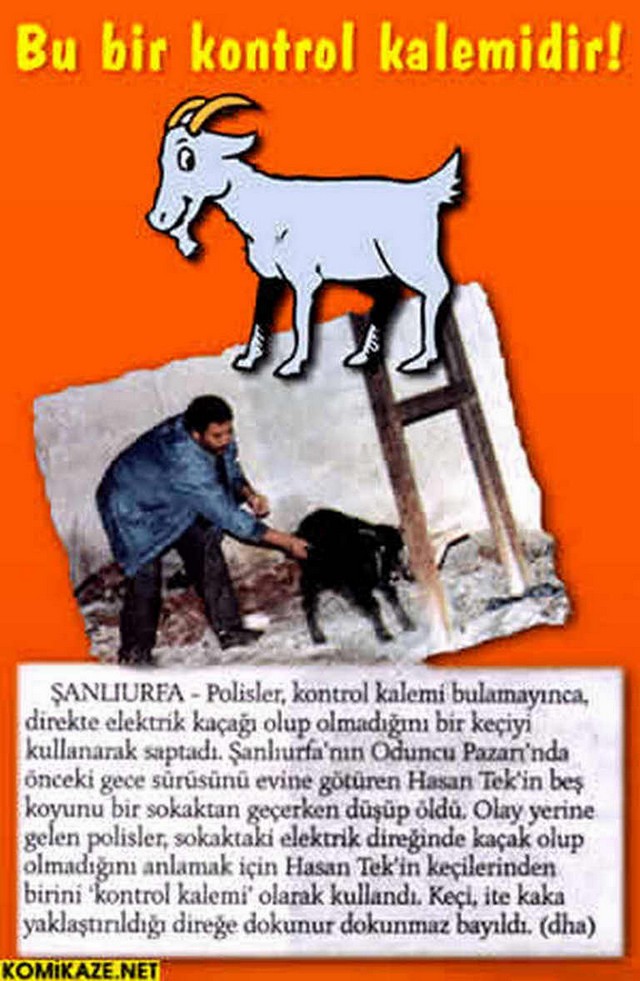 Karikatur030087