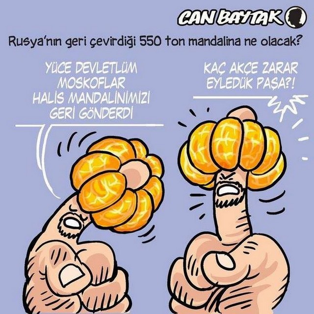 Karikatur030225