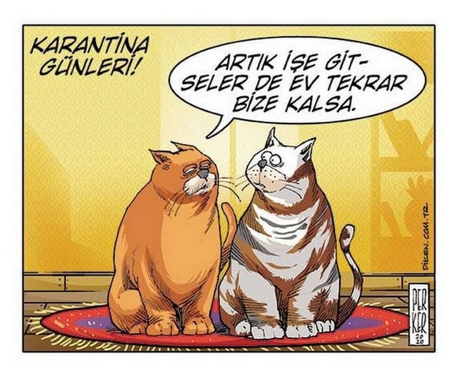 Karikatur030531