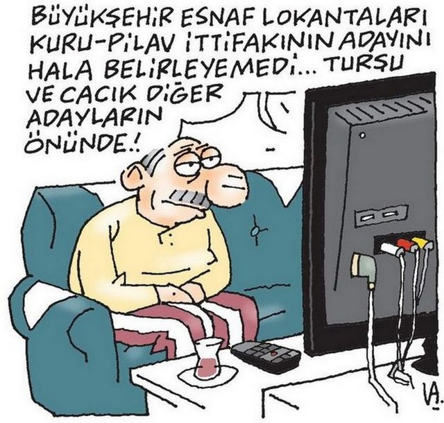 Karikatur030614