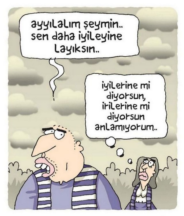 Karikatur030625