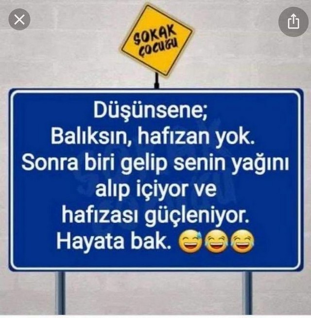 Karikatur030781