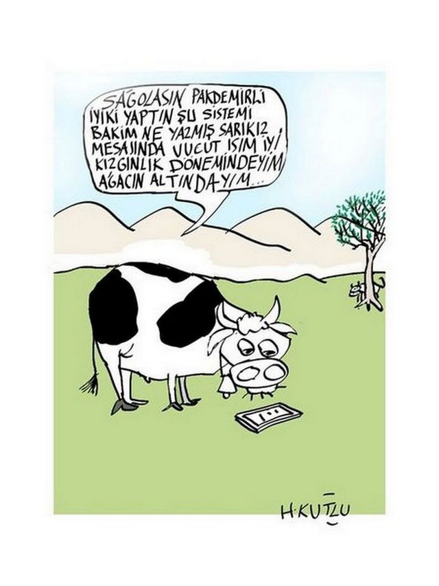 Karikatur030914